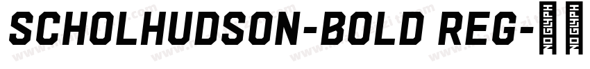ScholHudson-Bold Reg字体转换